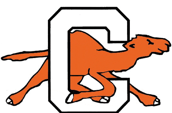 Campbell Fighting Camels 1993-2004 Alternate Logo diy iron on heat transfer